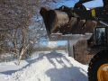 Dumping snow from the bucket of a front end loader